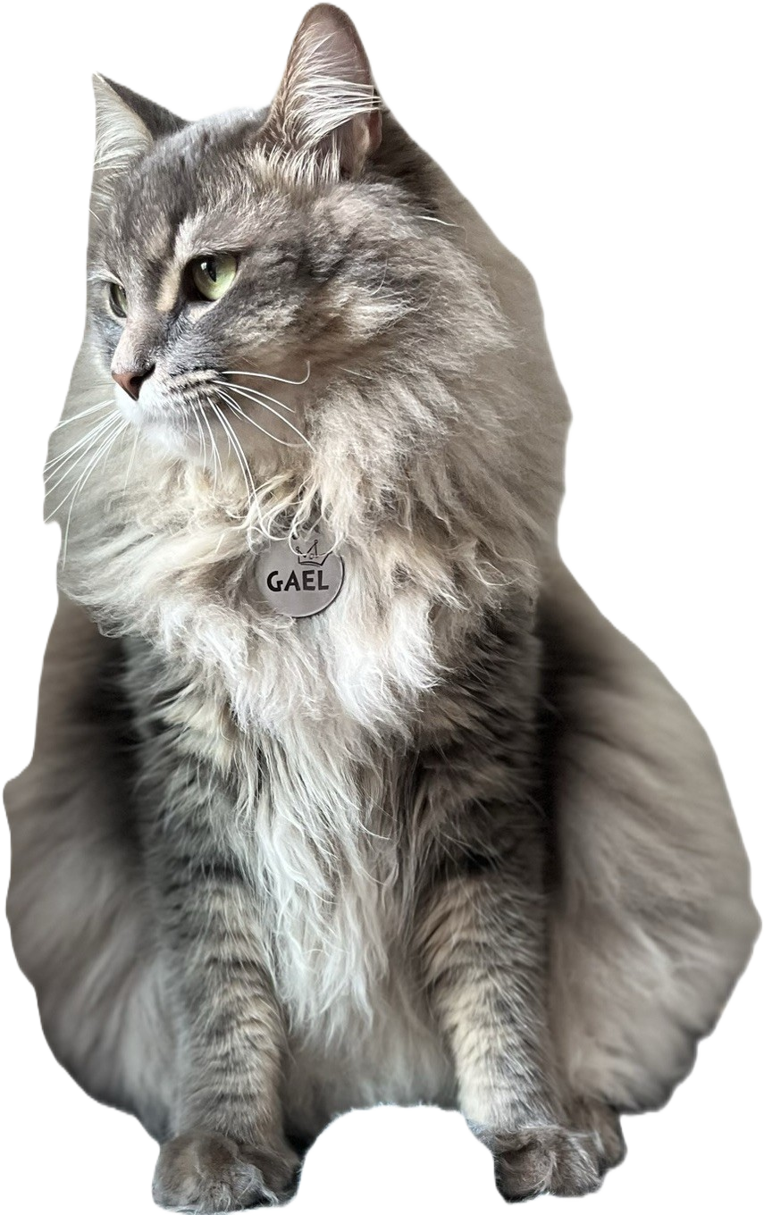 Gael